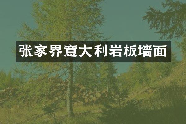 张家界意大利岩板墙面