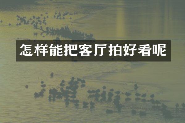 怎样能把客厅拍好看呢