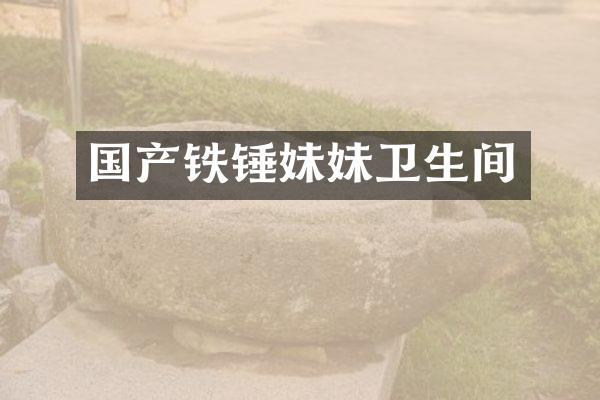 国产铁锤妹妹卫生间