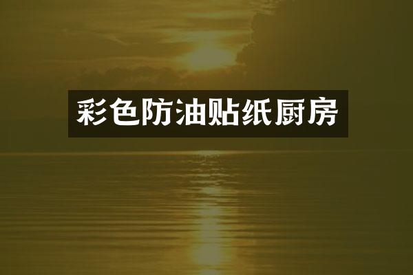 彩色防油贴纸厨房
