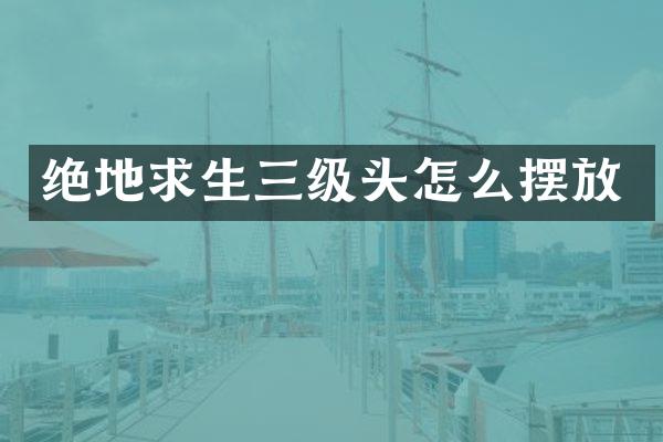 绝地求生三级头怎么摆放