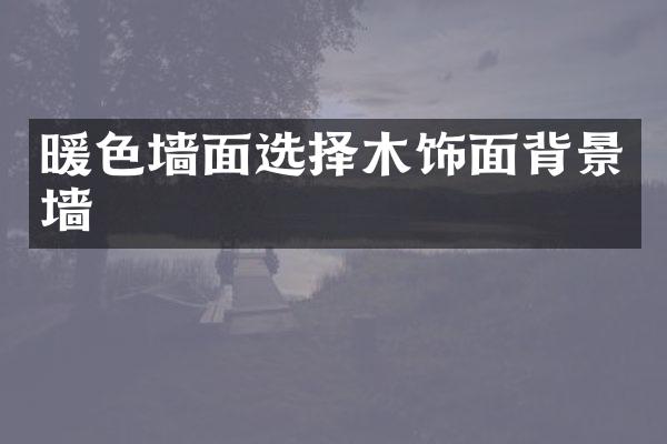 暖色墙面选择木饰面背景墙