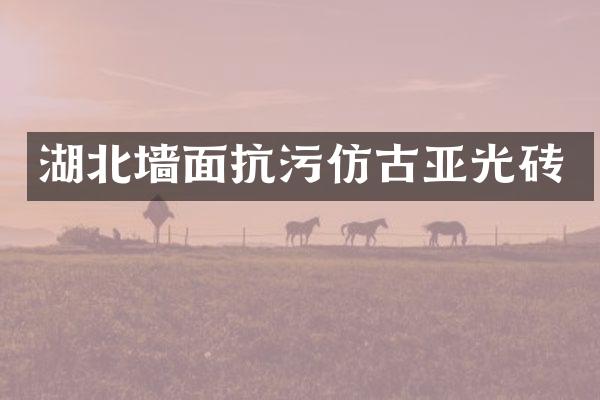 湖北墙面抗污仿古亚光砖