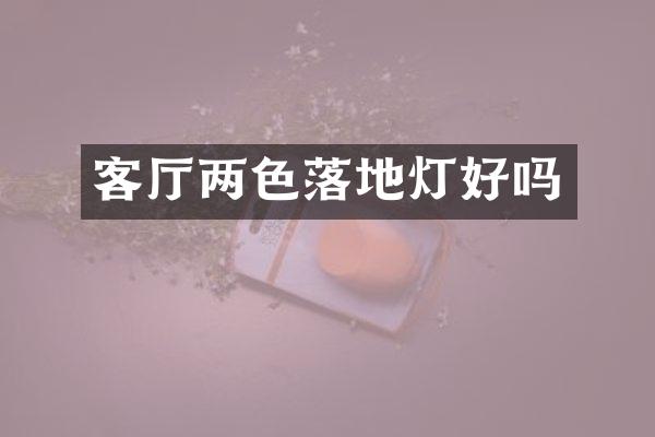 客厅两色落地灯好吗