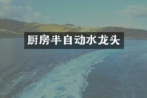 厨房半自动水龙头