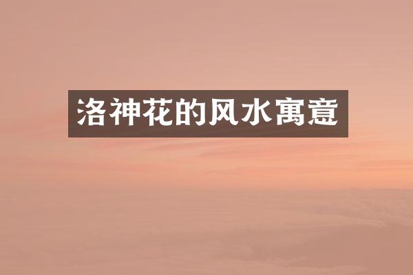 洛神花的风水寓意