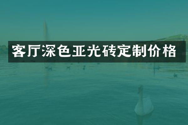 客厅深色亚光砖定制价格