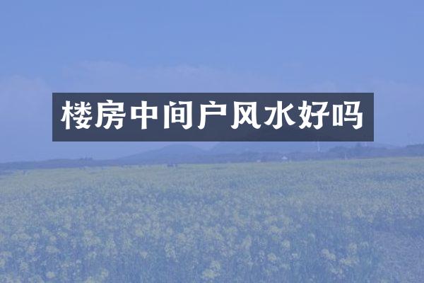 楼房中间户风水好吗