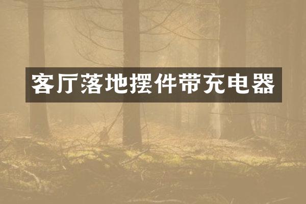 客厅落地摆件带充电器