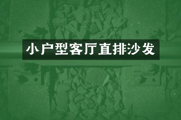 小户型客厅直排沙发