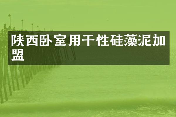陕西卧室用干性硅藻泥加盟