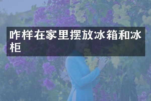 咋样在家里摆放冰箱和冰柜