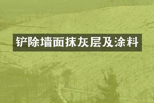 铲除墙面抹灰层及涂料