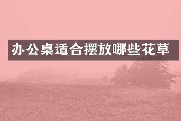 办公桌适合摆放哪些花草