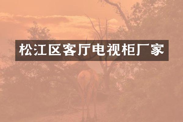 松江区客厅电视柜厂家