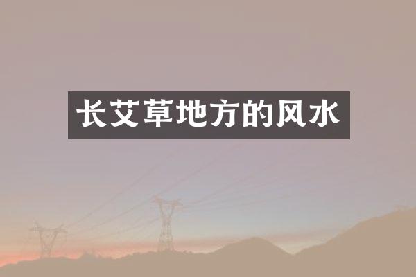 长艾草地方的风水