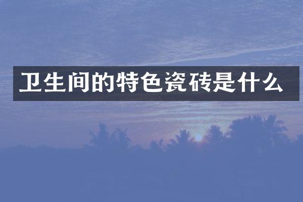 卫生间的特色瓷砖是什么