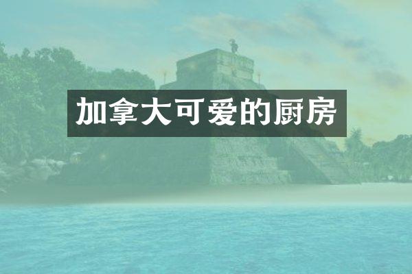 加拿大可爱的厨房