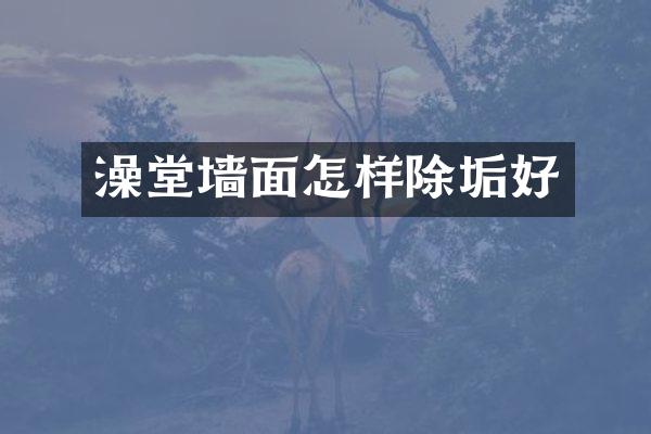 澡堂墙面怎样除垢好