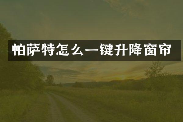 帕萨特怎么一键升降窗帘