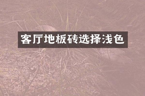 客厅地板砖选择浅色