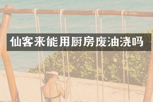 仙客来能用厨房废油浇吗