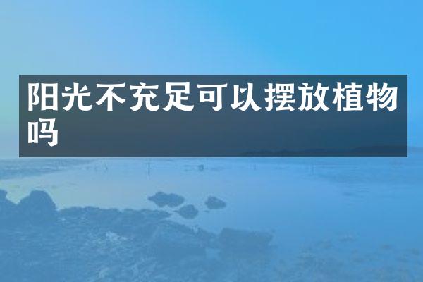 阳光不充足可以摆放植物吗