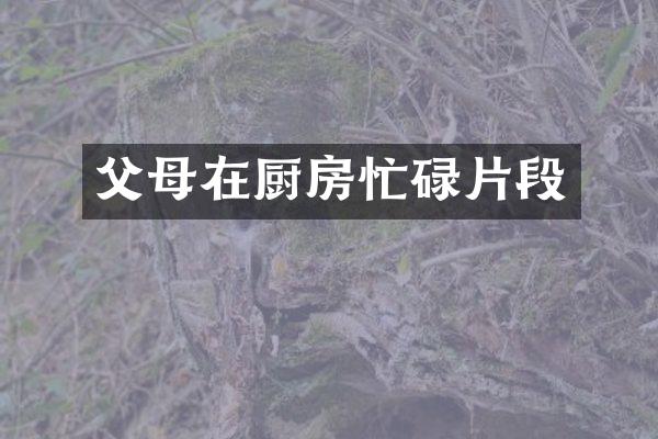 父母在厨房忙碌片段