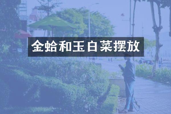 金蛤和玉白菜摆放