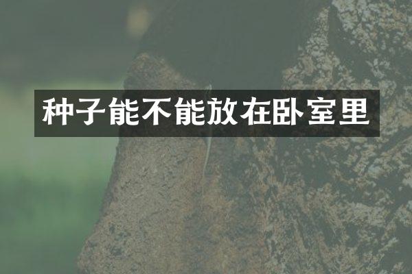 种子能不能放在卧室里