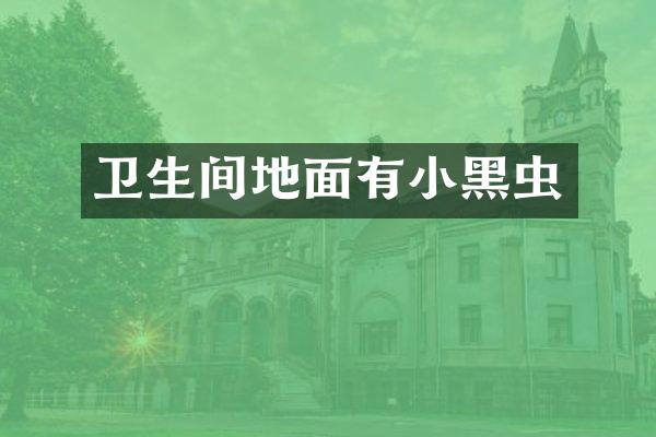 卫生间地面有小黑虫