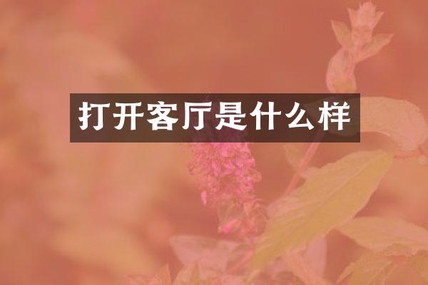 打开客厅是什么样