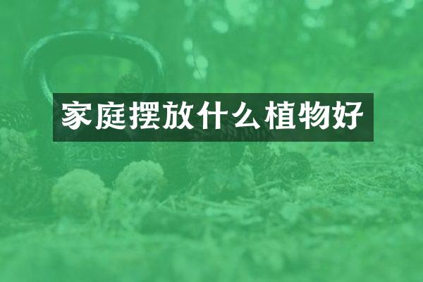 家庭摆放什么植物好