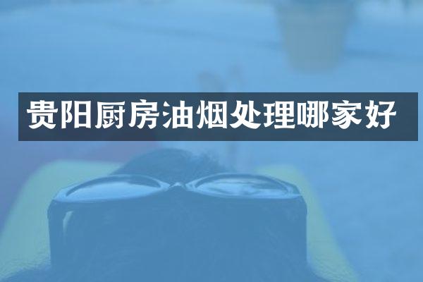 贵阳厨房油烟处理哪家好