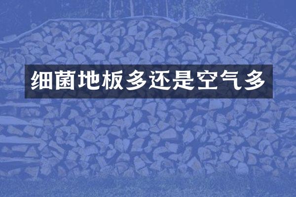 细菌地板多还是空气多