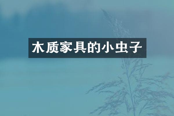 木质家具的小虫子