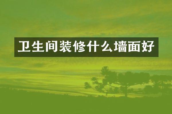 卫生间装修什么墙面好