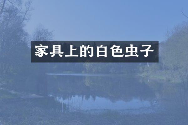 家具上的白色虫子