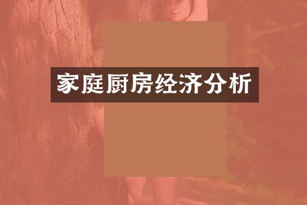 家庭厨房经济分析
