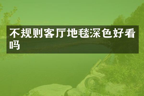 不规则客厅地毯深色好看吗