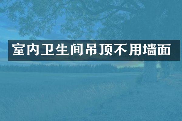 室内卫生间吊顶不用墙面