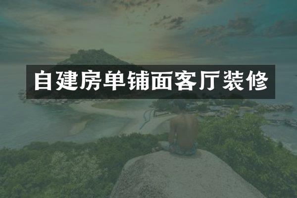 自建房单铺面客厅装修