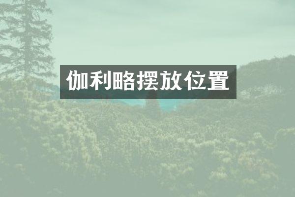 伽利略摆放位置
