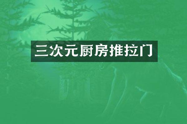 三次元厨房推拉门