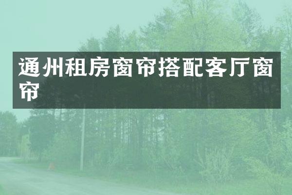 通州租房窗帘搭配客厅窗帘
