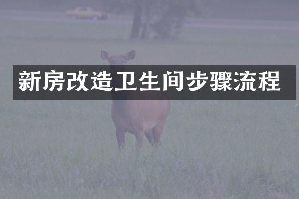 新房改造卫生间步骤流程