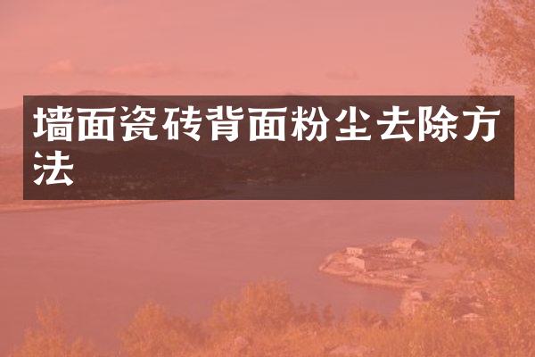 墙面瓷砖背面粉尘去除方法