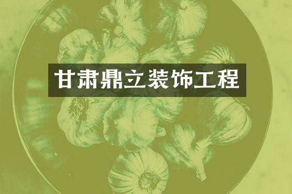 甘肃鼎立装饰工程
