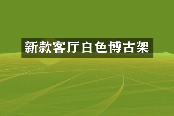 新款客厅白色博古架
