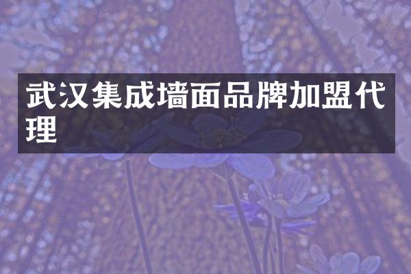 武汉集成墙面品牌加盟代理